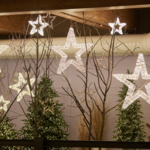 Dekorativna zvijezda, D70 cm