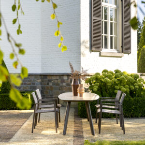 Stolica Cortina, terre