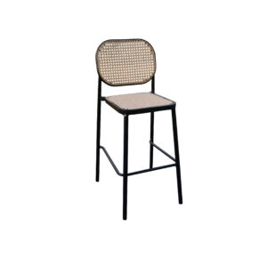 Barska stolica Vienna