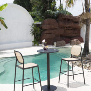 Barska stolica Vienna